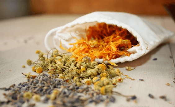 ramuan obat cacingan pada orang dewasa