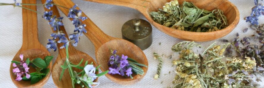 kombinasi sediaan herbal melawan cacingan