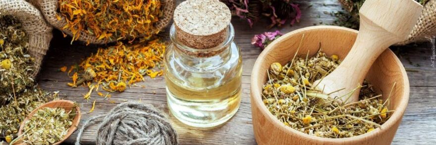 obat tradisional melawan cacingan