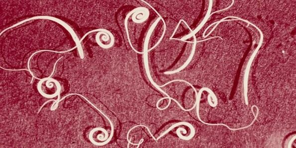 foto parasit manusia